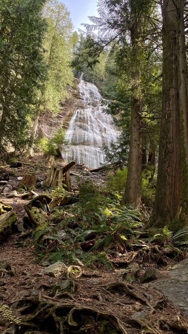 Nature Photography 