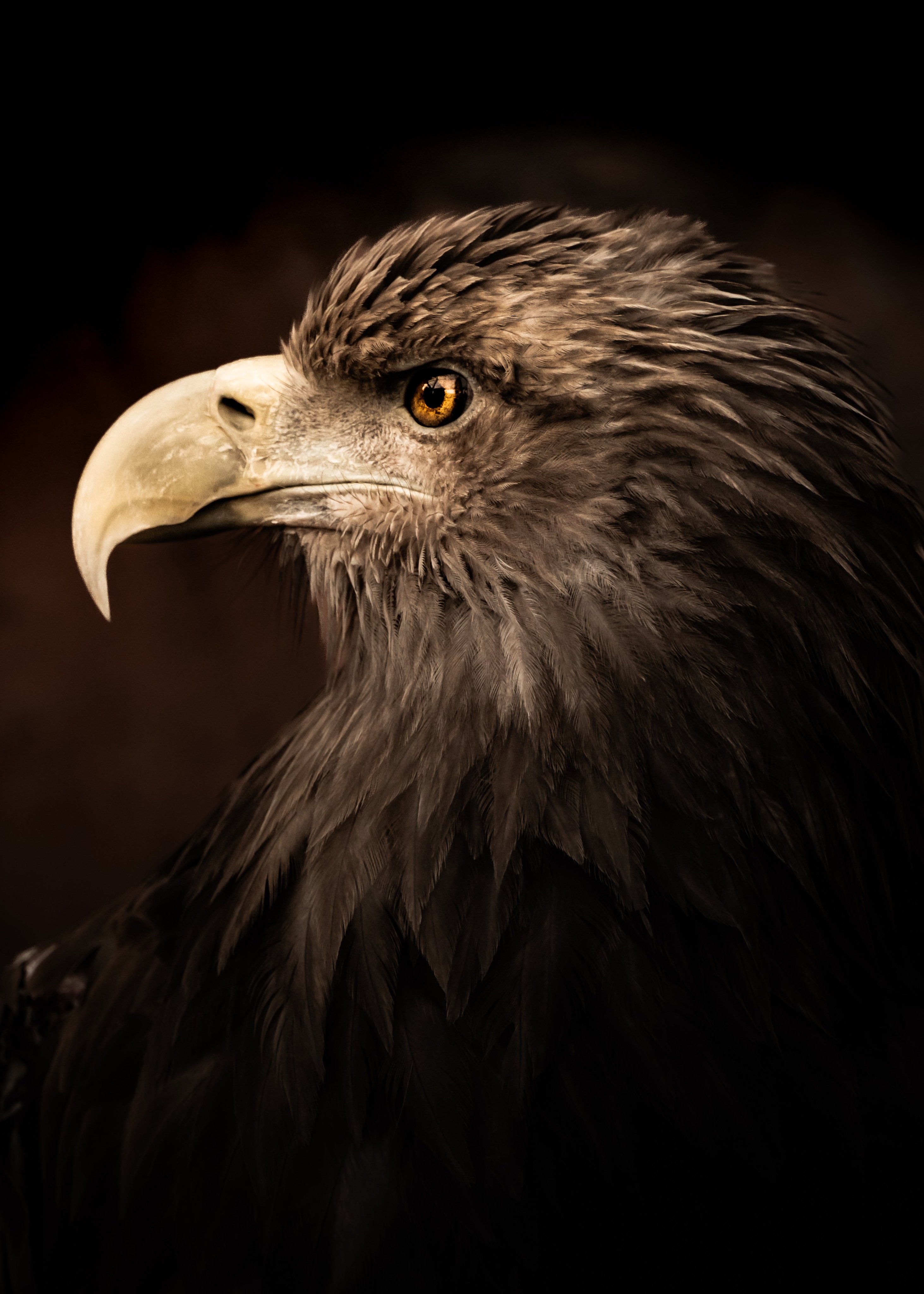The Watchful Sovereign
